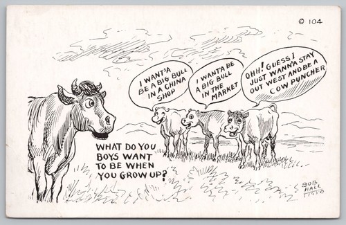 Cattle humor comic postcard - cattle,