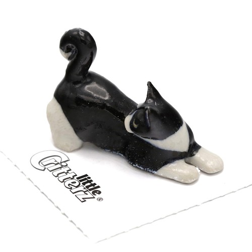 Little critterz cat tuxedo - critterz,