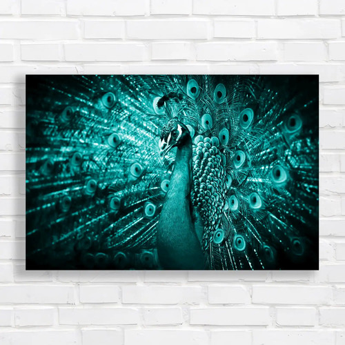 Lovely peacock design teal - lovely,