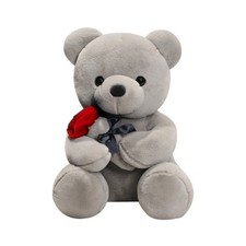 Valentines Day Teddy Bear With