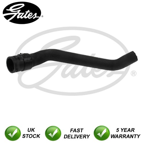 Hose - (engine,