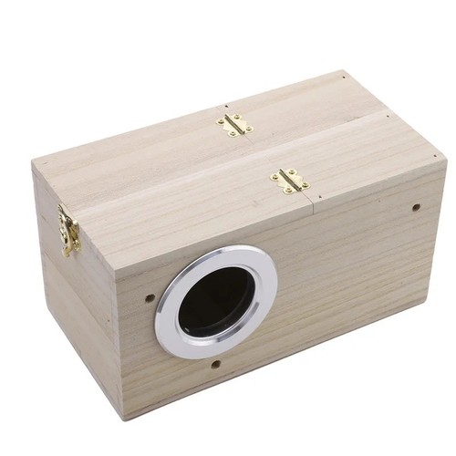 Wood bird breeding - wood,