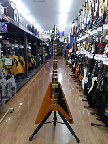 Epiphone 1958 korina - 1958,