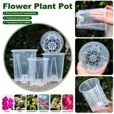 Clear Orchid Pots Flower Pot