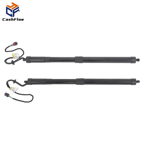 Pair auto tailgate - auto, gas