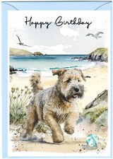 Soft Coated Wheaten Terrier