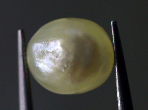 Natural basra pearl - natural,