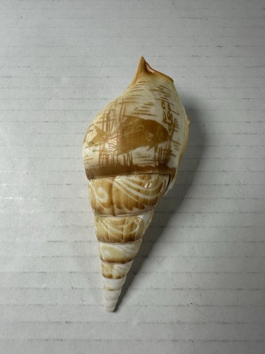 Hand carved tibia shell - hand-carved,