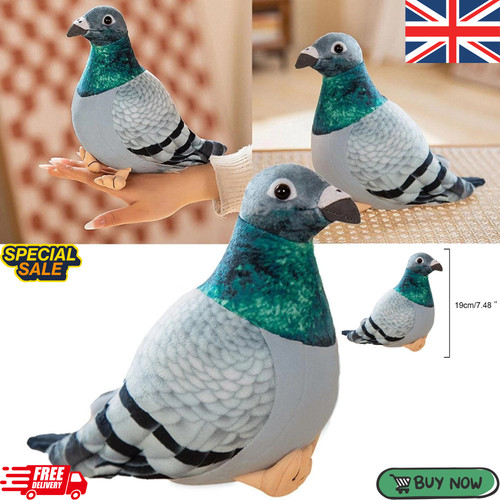 Simulation pigeon bird soft - pigeon,