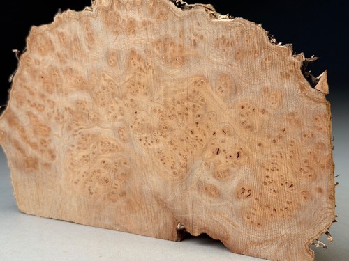Cap burr elm live edge - elm,