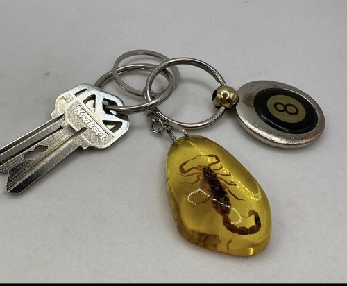 Scorpion amber keychain - scorpion,
