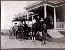 OLD PHOTOGRAPH WOMEN'S HORSES