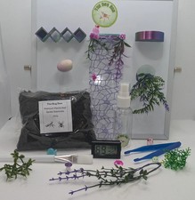 Jumping spider starter set. Jumping spider enclosure decor and equipment