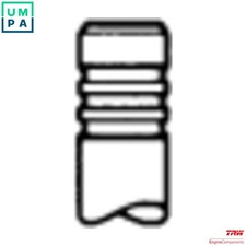 4x INTAKE VALVE 539046 FOR 9HP