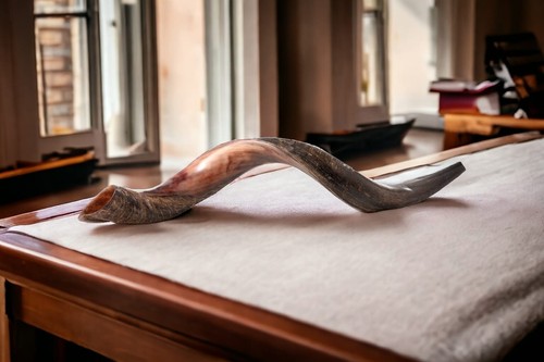 Shofar half natural - shofar,