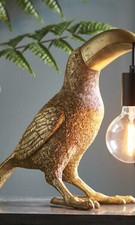 Toucan Exotic Bird - Table