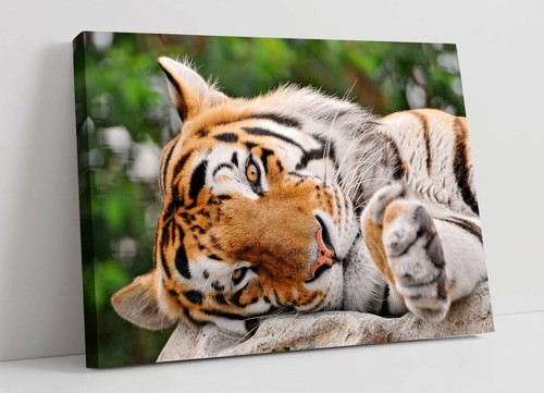Tiger large canvas wall - tiger, art