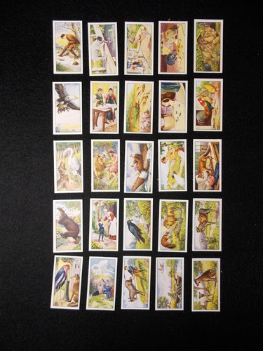Gallaher cigarette cards - gallaher,