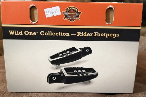 Harley davidson wild - one, rider