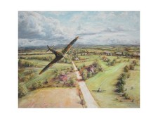 SPITFIRE LIMITED EDITION