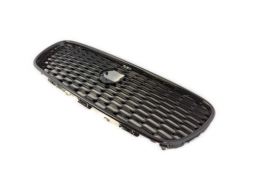 Jaguar radiator grille - jaguar,