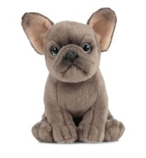 Small Blue French Bulldog