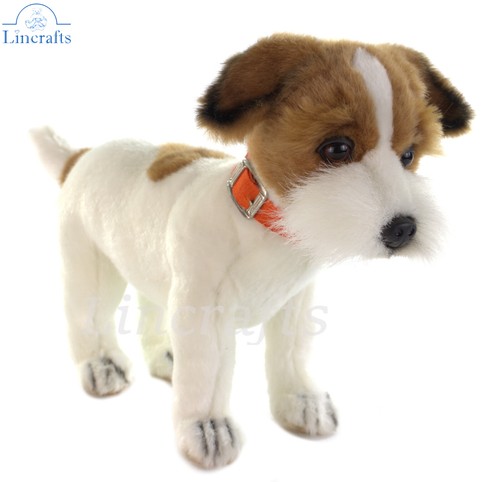 Hansa jack russell terrier - hansa,