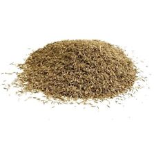 LAWN GRASS SEED 1KG SHADY AREA SEED MIX (20 SQ/M) From Maltbys Stores 1904 Ltd.