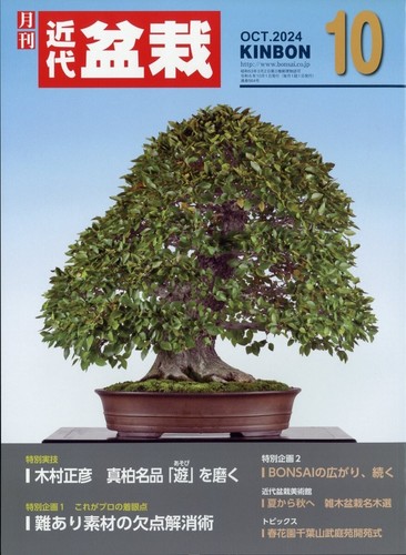 Japanese bonsai magazine - bonsai,