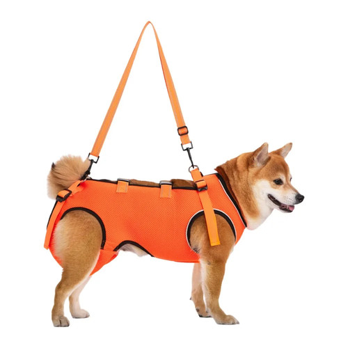 Adjustable dog lift harness - dog,