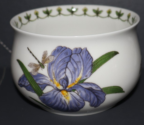 Queens blue iris fine - fine, bone