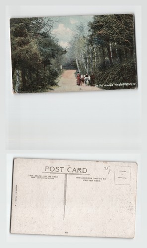 Vintage postcard - vintage,