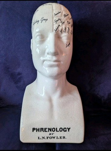 Original phrenology head - phrenology,