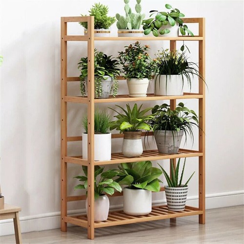 Tier bamboo plant - bamboo,