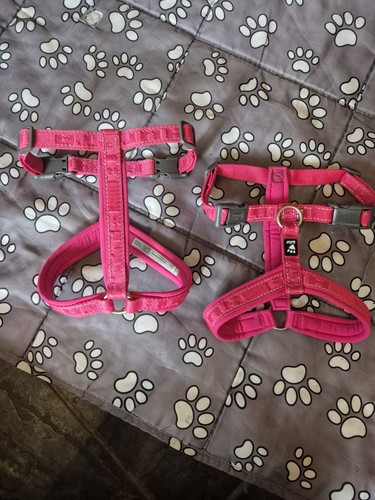 Hurtta casual eco - y, harness