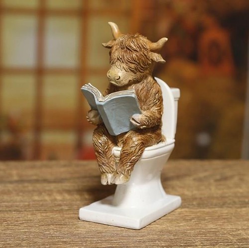 Highland cow bathroom - bathroom, time