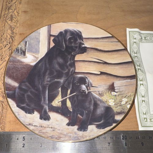Franklin mint heirloom - mint, like