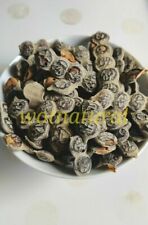 Organic Herbal Babool Phali