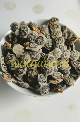 Organic herbal babool phali - organic,