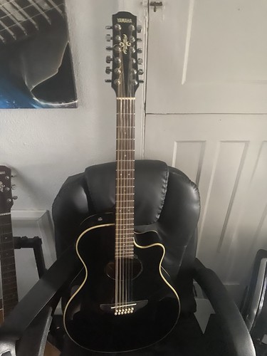 Yamaha apx gig bag - yamaha, 12-a