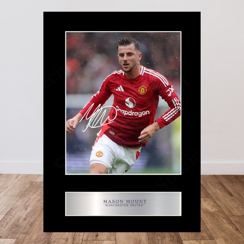 Mason mount manchester united - mount,