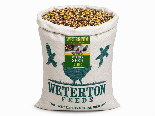 Wild bird seed mix - bird,