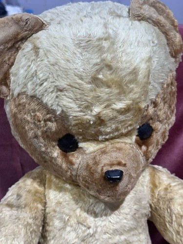 Teddy bear slovenia flea - teddy,