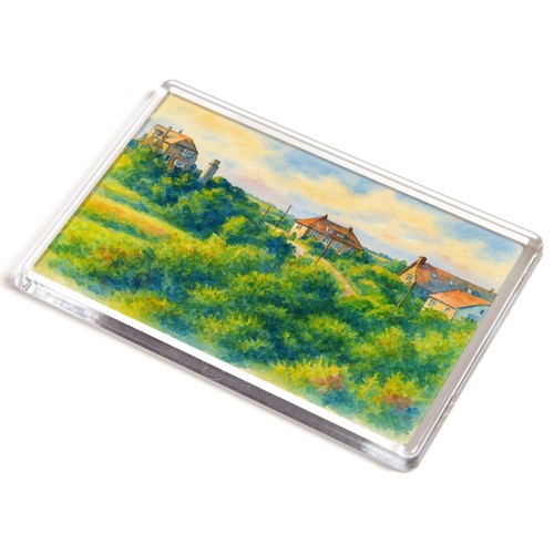 Jumbo magnet primrose valley - jumbo,