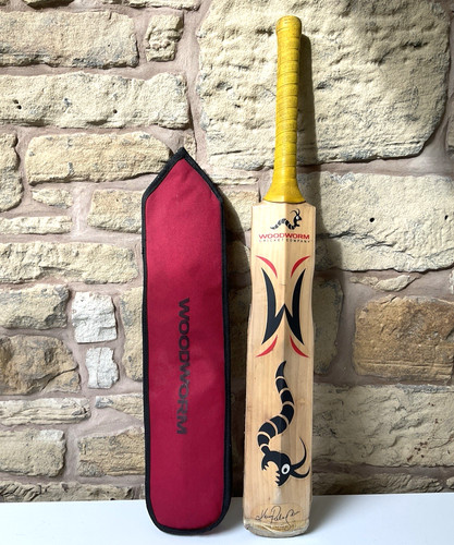 Woodworm the torch - woodworm,