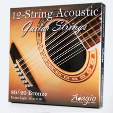 12 STRING Acoustic Guitar