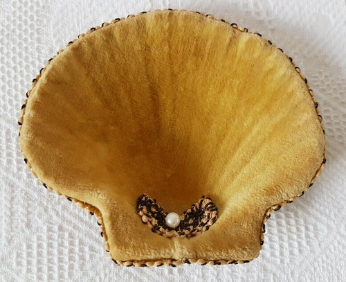 Decorated clam shell crafted - ~,