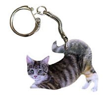 Tabby Kitten Keyring - Tabby