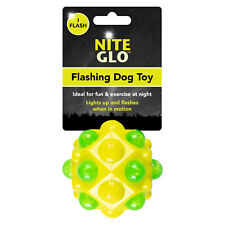 Nite Glo Flashing Dog Toy