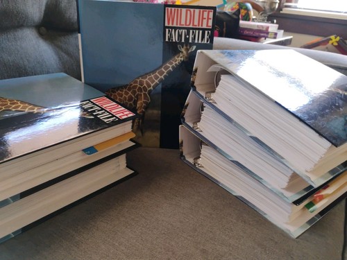 Wildlife fact file binder - wildlife,
